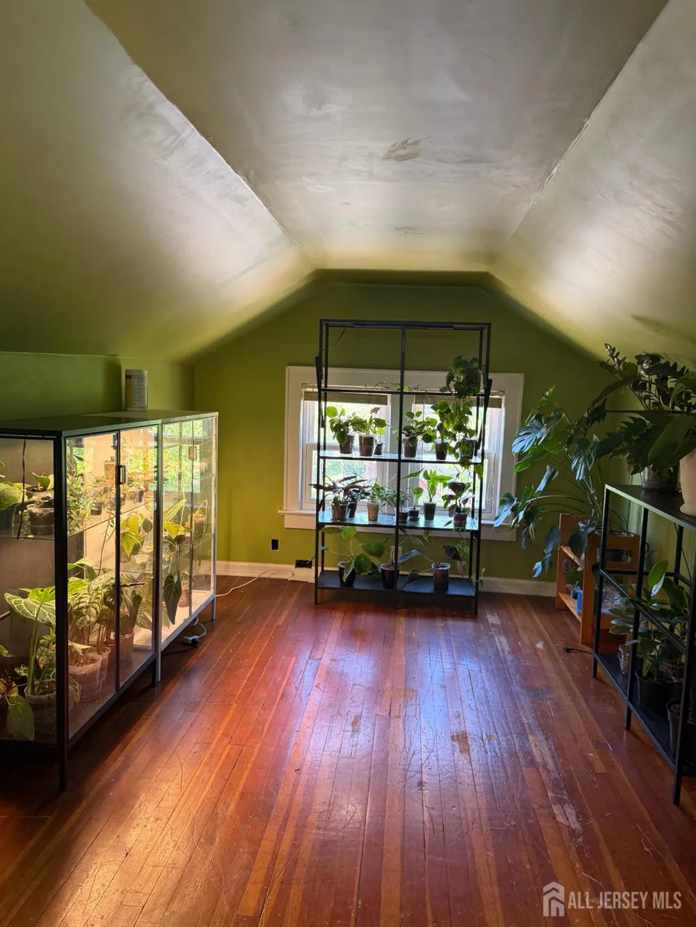 433 S 8th Avenue S Highland Park, NJ 08904