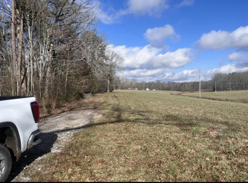 767 Wichser Road Gruetli Laager, TN 37339