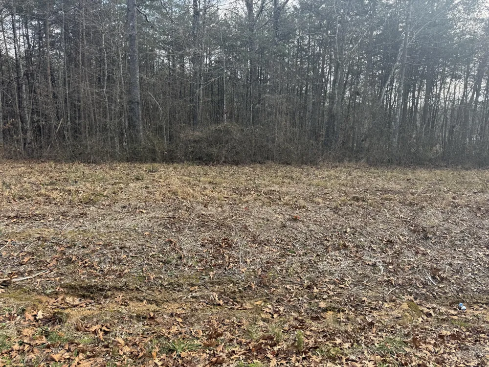 1 County Road Bryant, AL 35958