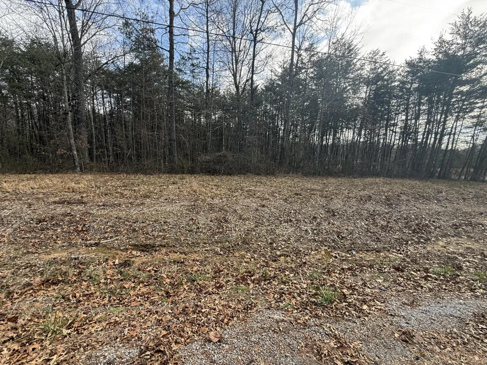 1 County Road Bryant, AL 35958