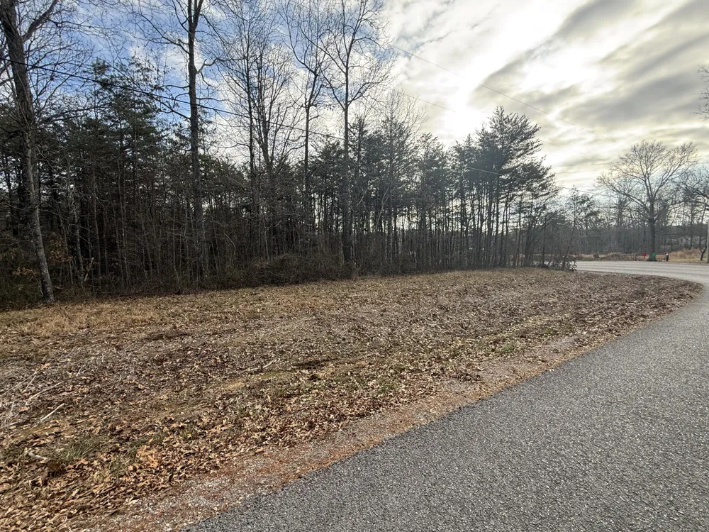 1 County Road Bryant, AL 35958