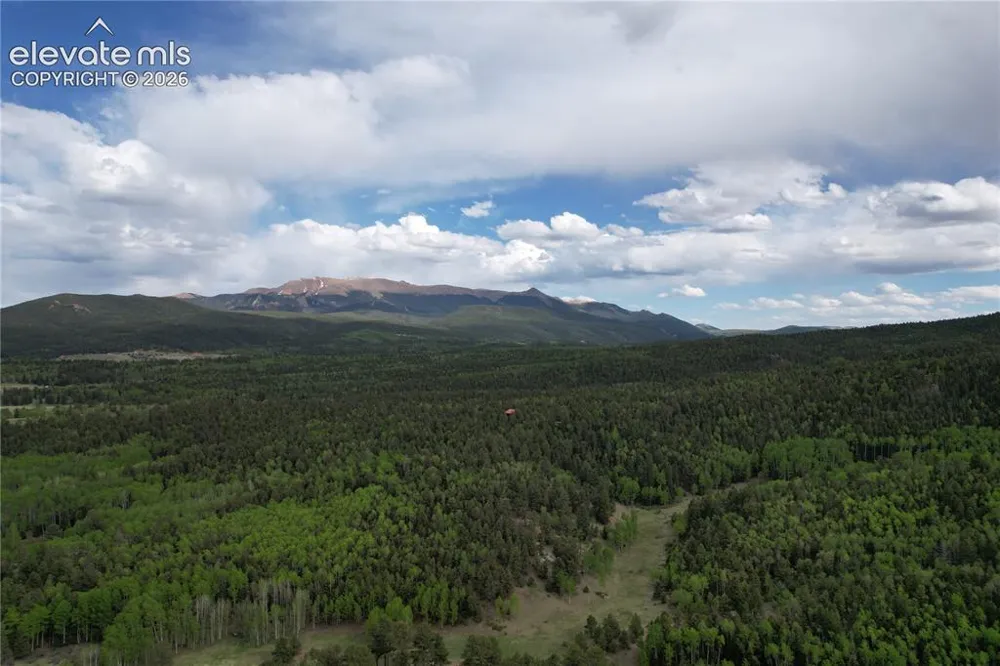 776 Jolly Rogue Drive Divide, CO 80814