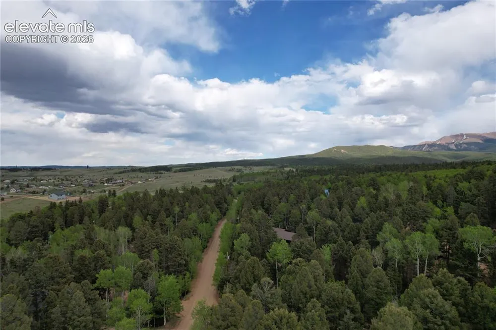 776 Jolly Rogue Drive Divide, CO 80814