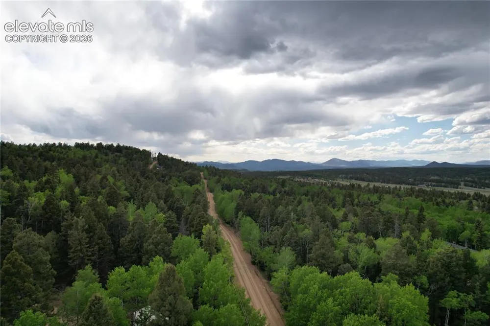 776 Jolly Rogue Drive Divide, CO 80814