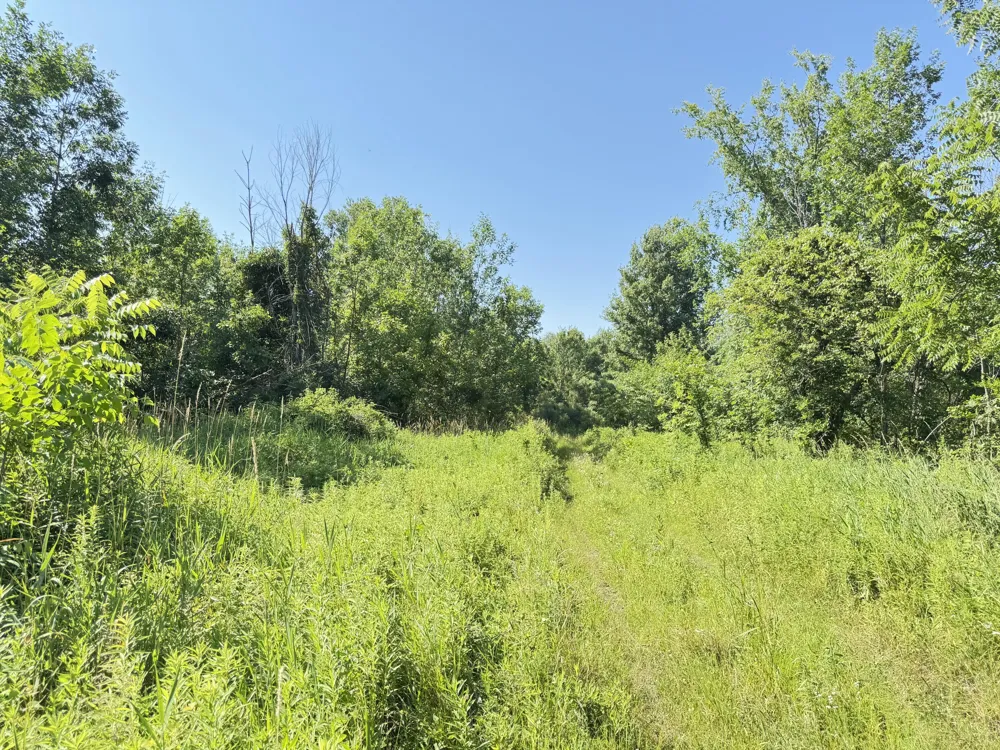13513 100th Street SE Alto, MI 49302