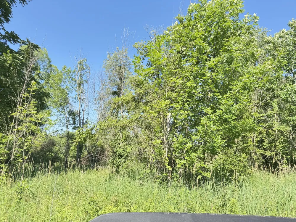 13513 100th Street SE Alto, MI 49302