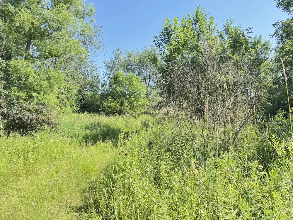 13513 100th Street SE Alto, MI 49302