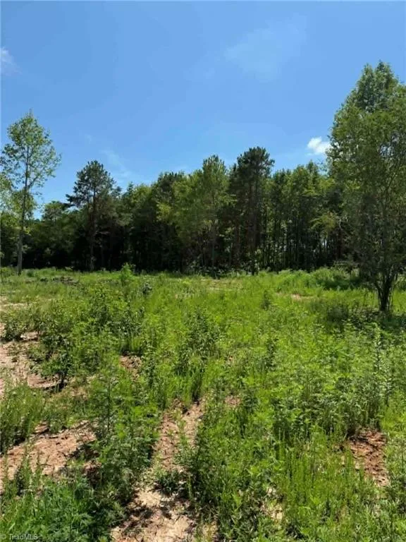 2633 Sprouse Road Boonville, NC 27011