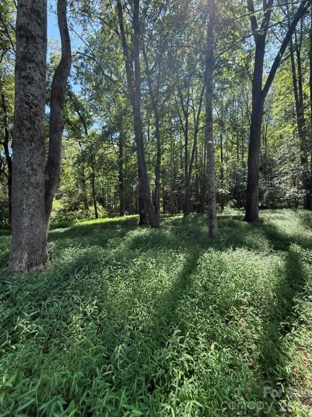 2633 Sprouse Road Boonville, NC 27011
