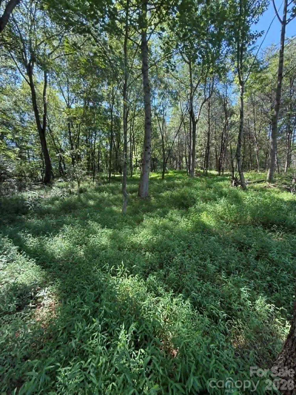 2633 Sprouse Road Boonville, NC 27011