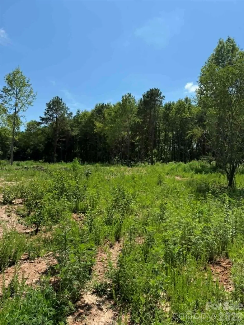 2633 Sprouse Road Boonville, NC 27011