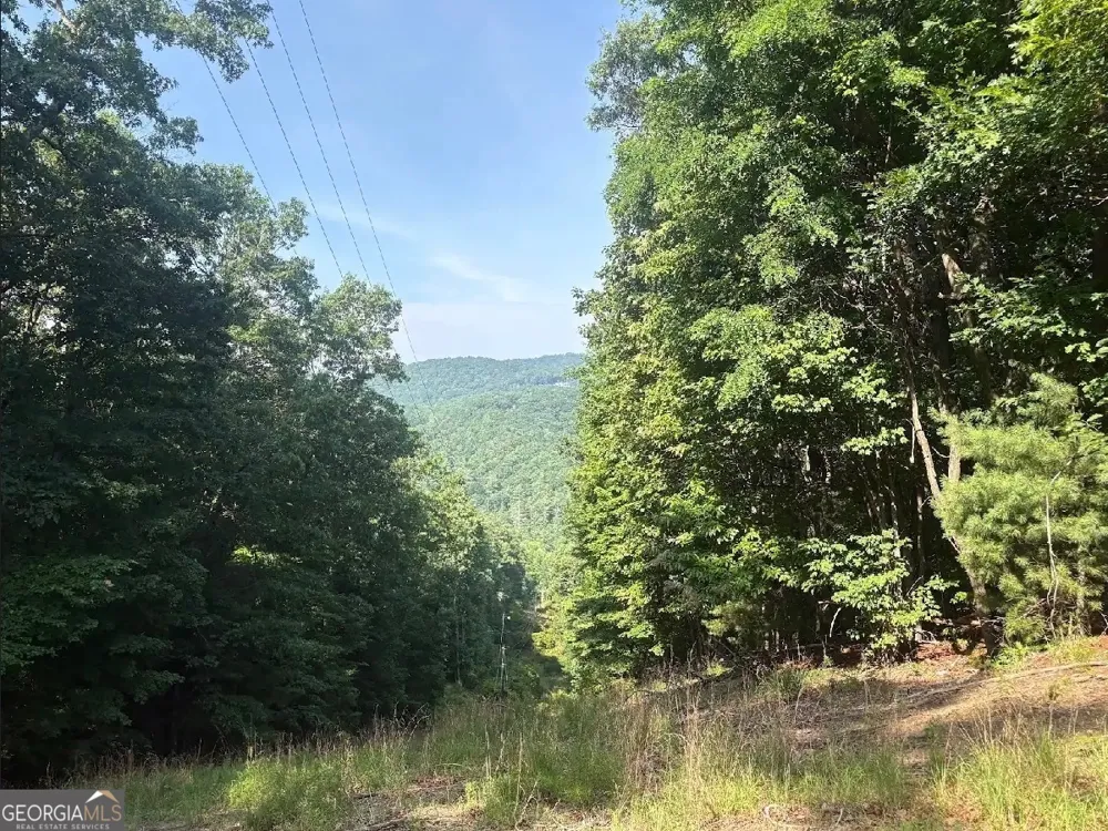 0 Laurel Branch DR Jasper, GA 30143