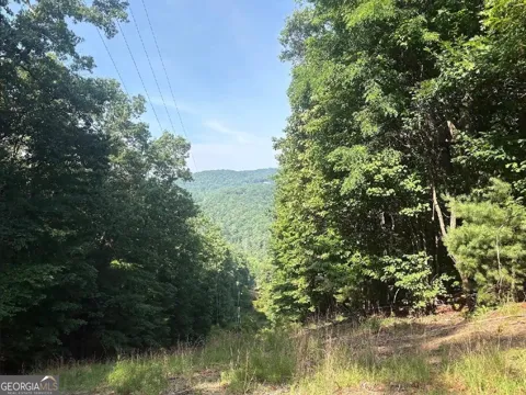 0 Laurel Branch DR