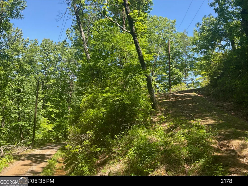 0 Laurel Branch DR Jasper, GA 30143
