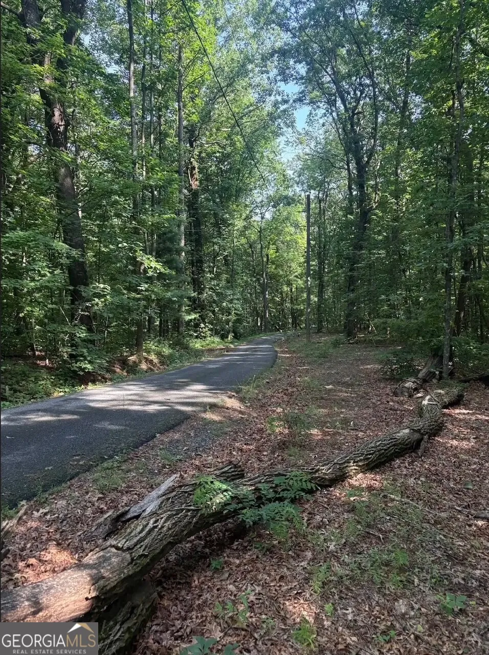 0 Laurel Branch DR Jasper, GA 30143