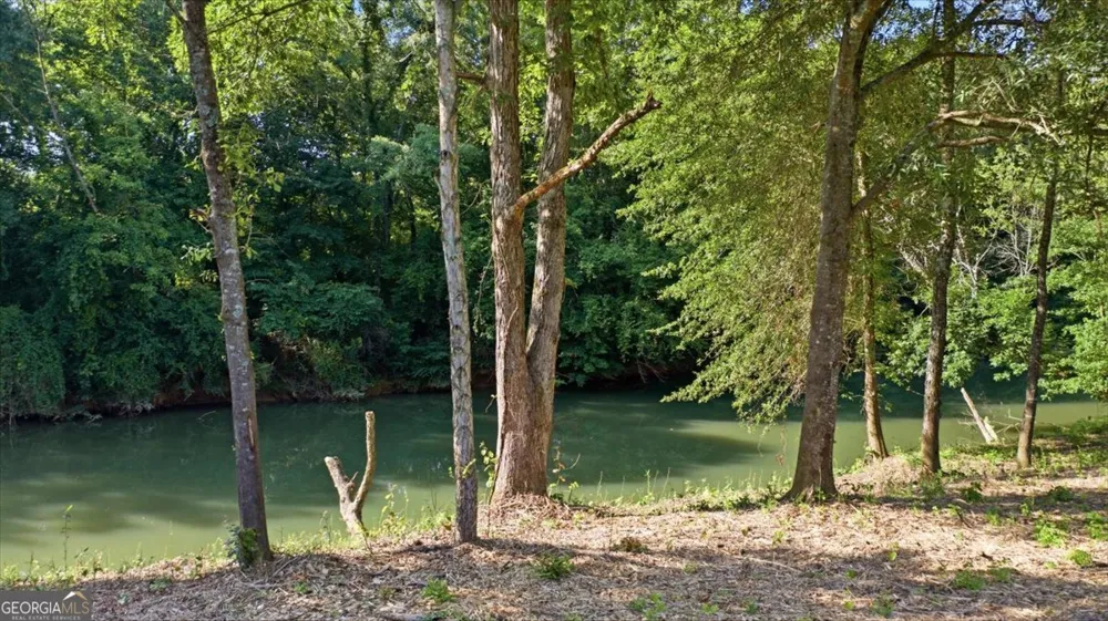 353 Ridgewood CIR Summerville, GA 30747