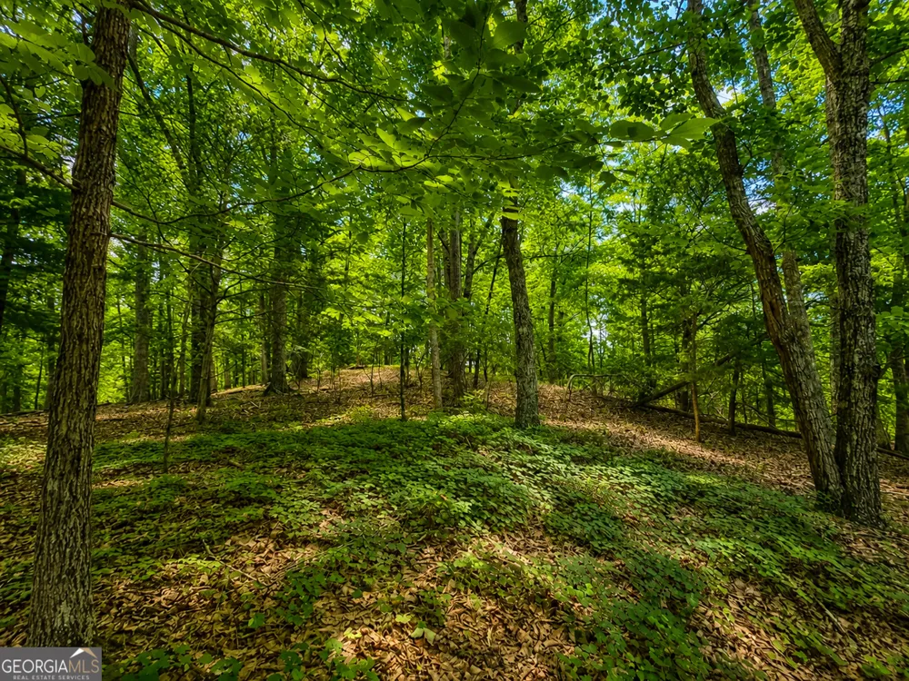 0 Gadsden RD Cave Spring, GA 30124