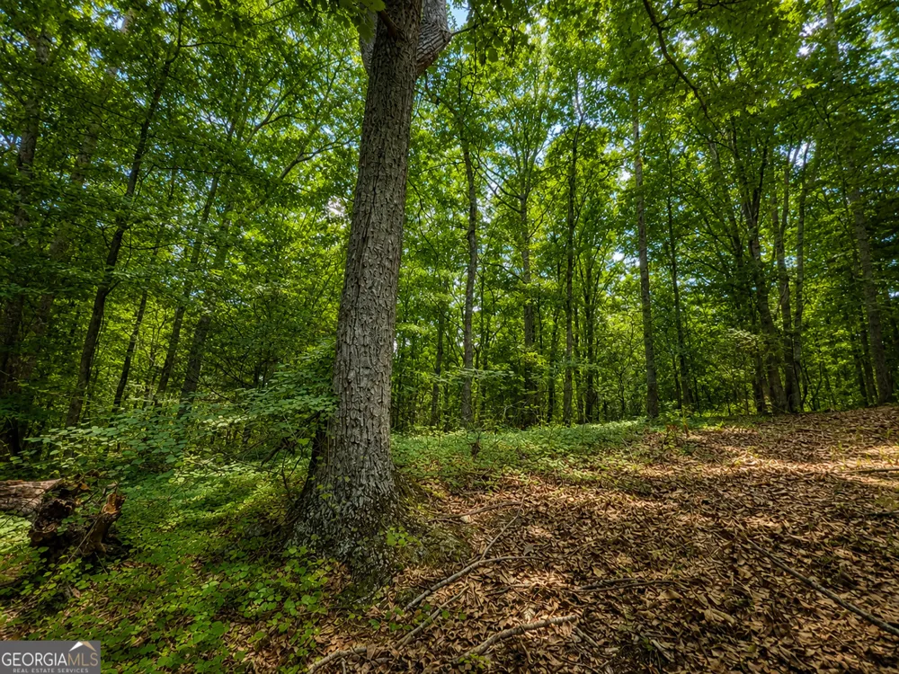 0 Gadsden RD Cave Spring, GA 30124