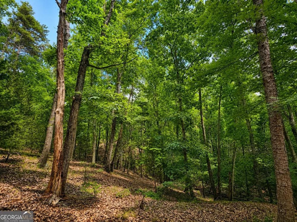 0 Gadsden RD Cave Spring, GA 30124