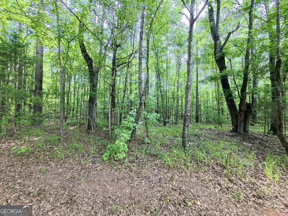 0 Ga Highway 18 Molena, GA 30258
