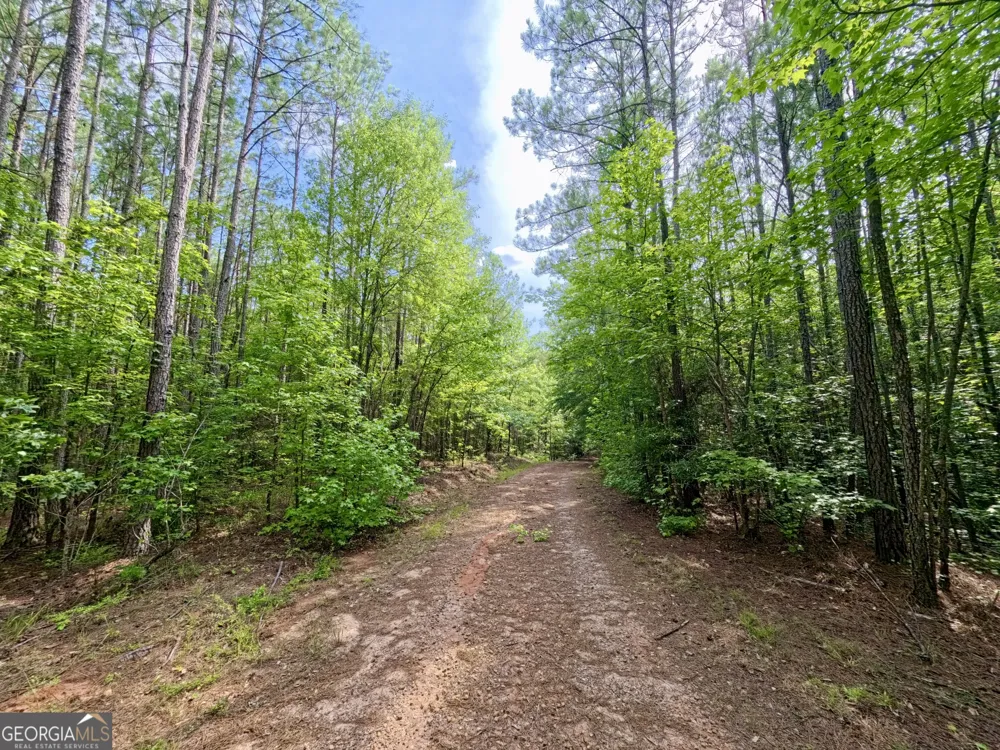 0 Ga Highway 18 Molena, GA 30258