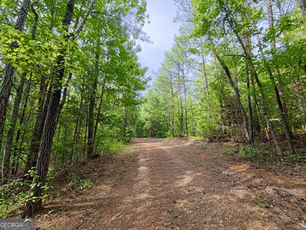 0 Ga Highway 18 Molena, GA 30258