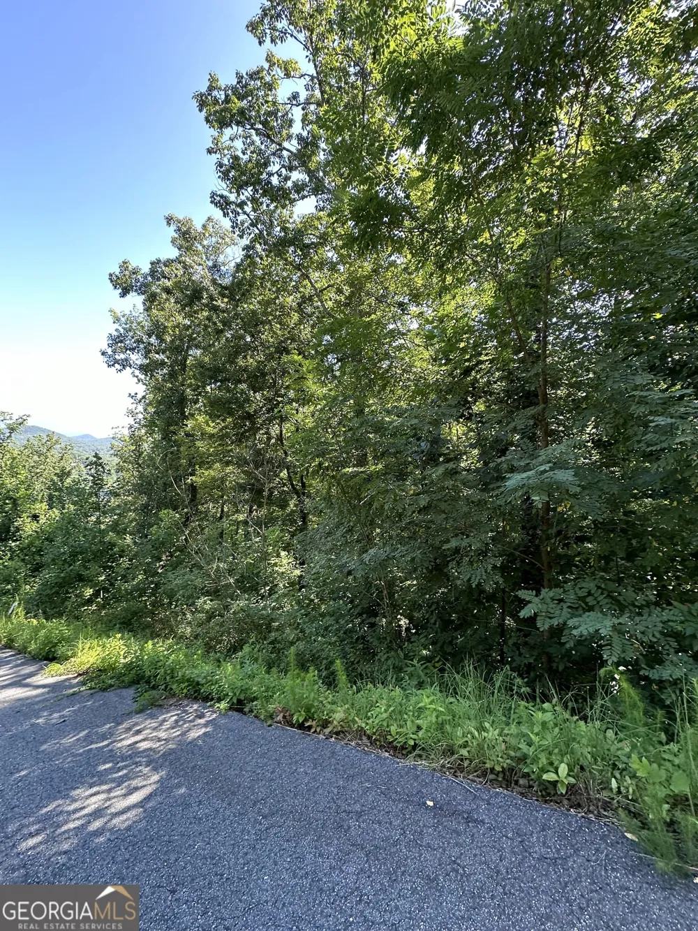 0 Ivy Ridge Clarkesville, GA 30523
