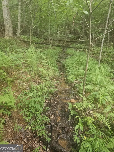 0 Watkins RD