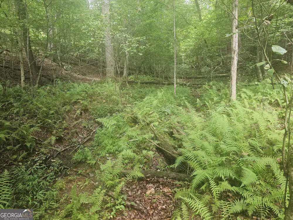 0 Watkins RD Blue Ridge, GA 30513