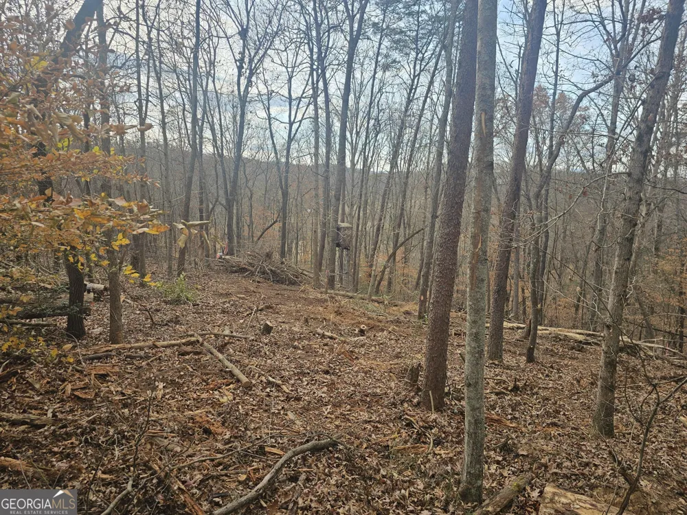0 Watkins RD Blue Ridge, GA 30513