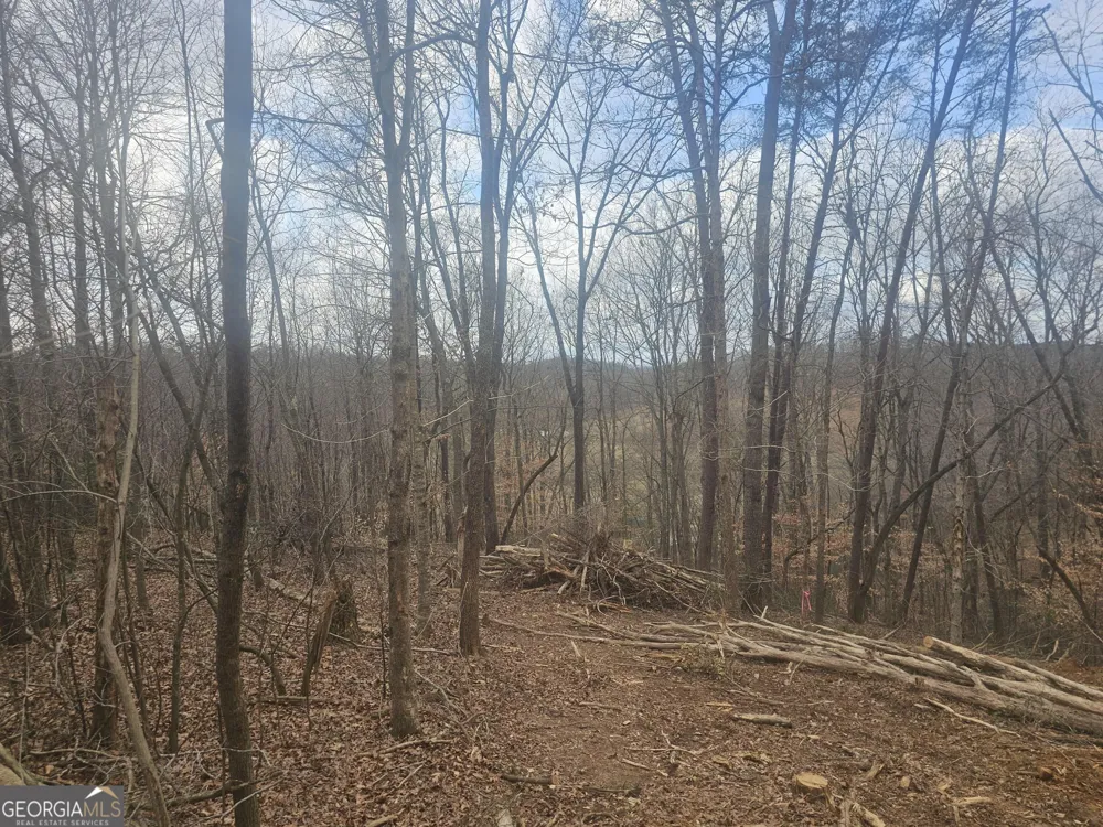 0 Watkins RD Blue Ridge, GA 30513