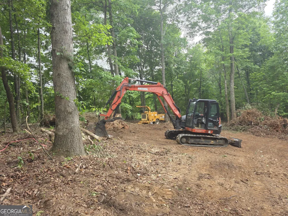 0 Watkins RD Blue Ridge, GA 30513
