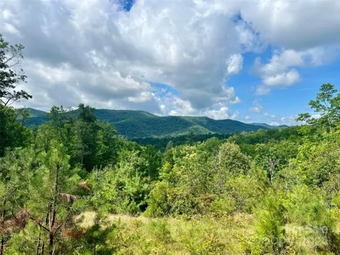 667 Laurel Thicket Lane