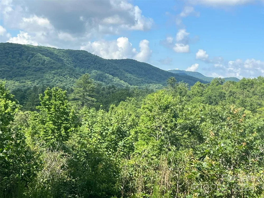 667 Laurel Thicket Lane Brevard, NC 28712