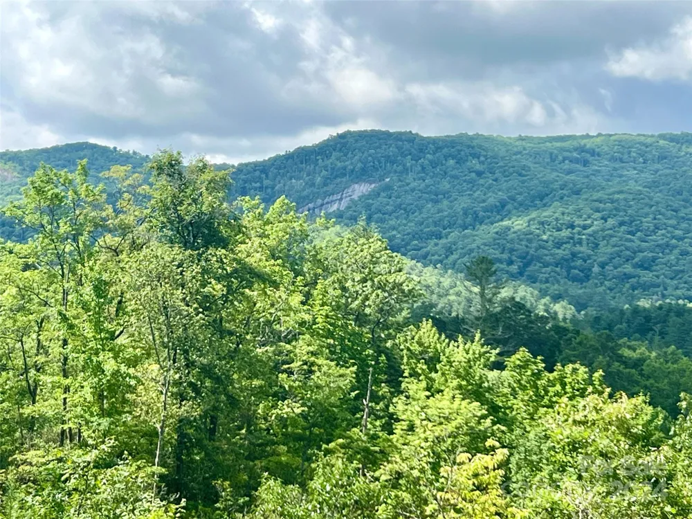 667 Laurel Thicket Lane Brevard, NC 28712