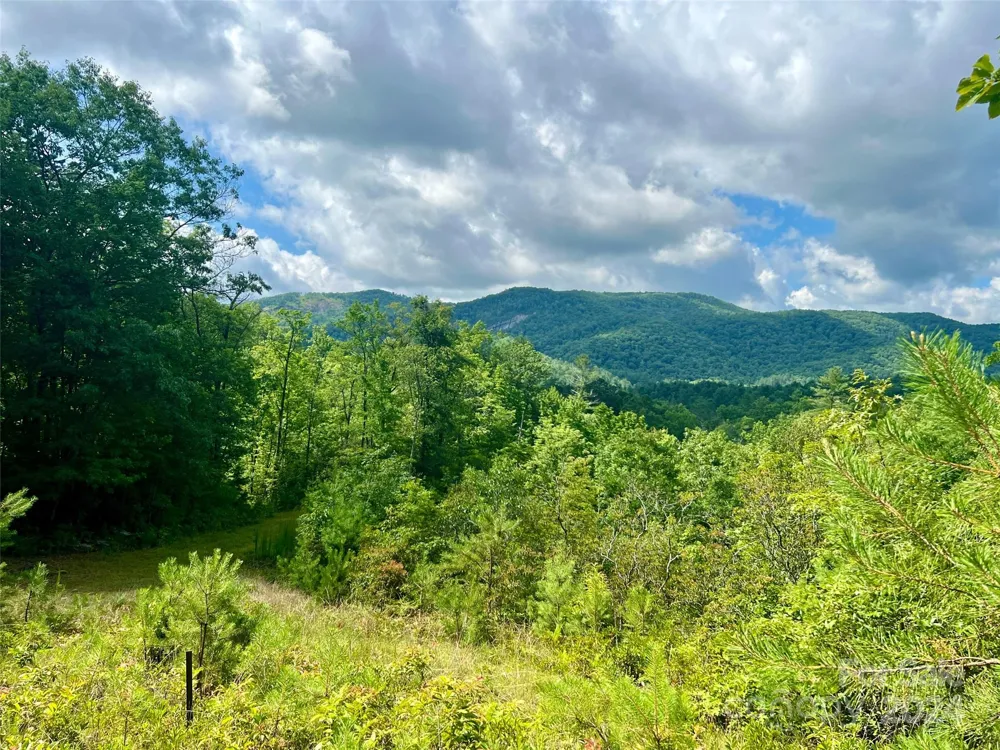 667 Laurel Thicket Lane Brevard, NC 28712