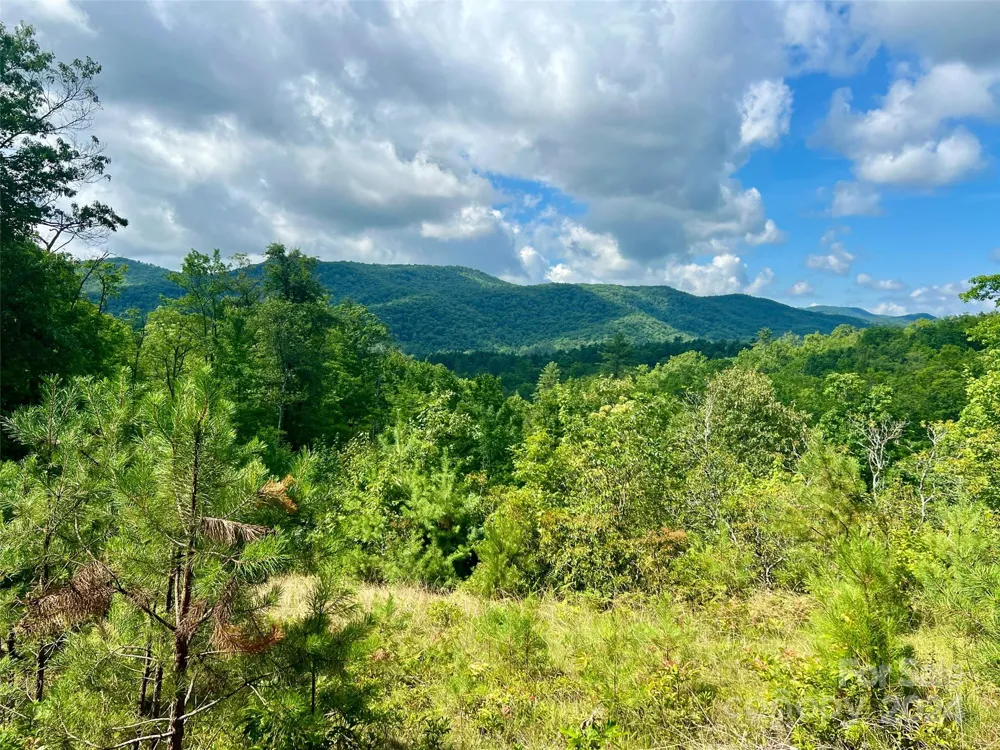 667 Laurel Thicket Lane Brevard, NC 28712