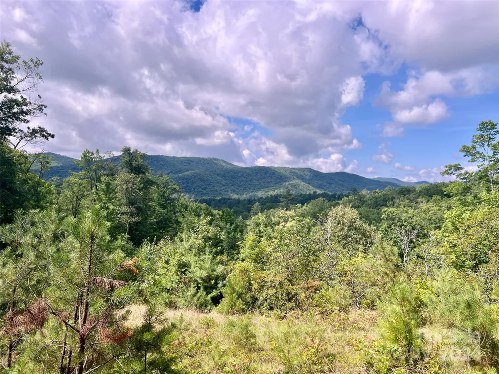 667 Laurel Thicket Lane Brevard, NC 28712