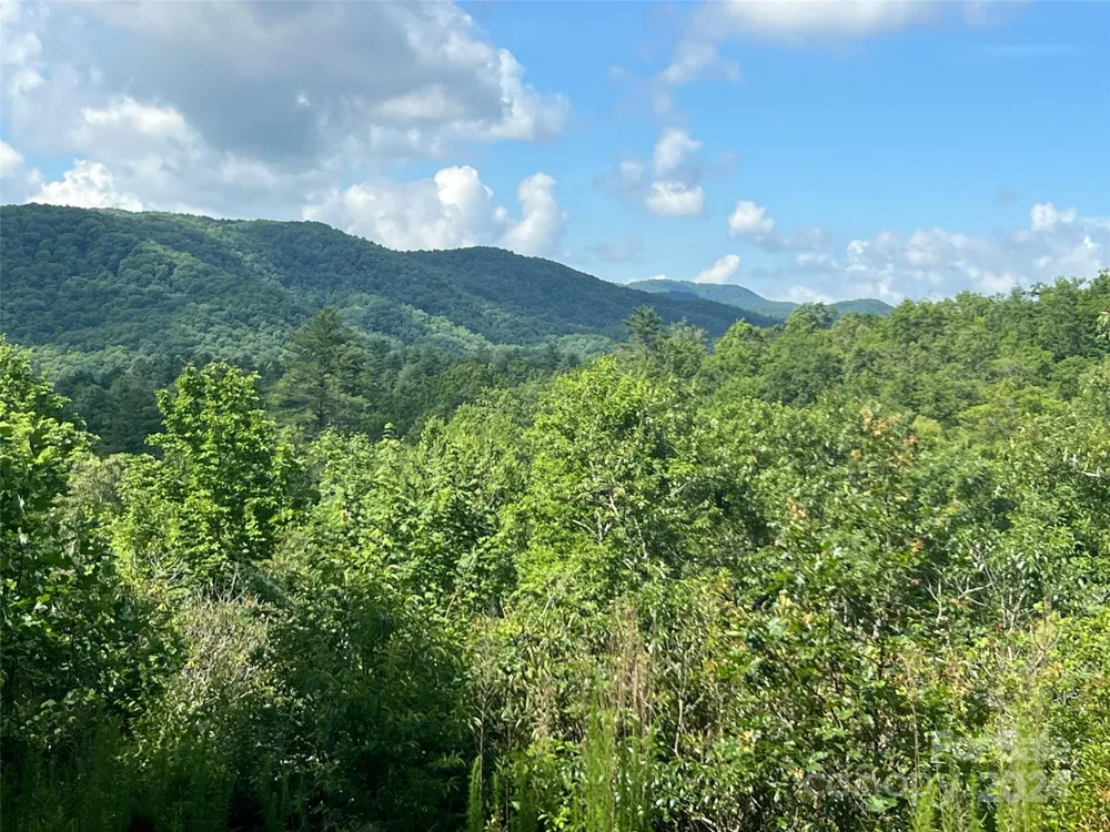 667 Laurel Thicket Lane Brevard, NC 28712