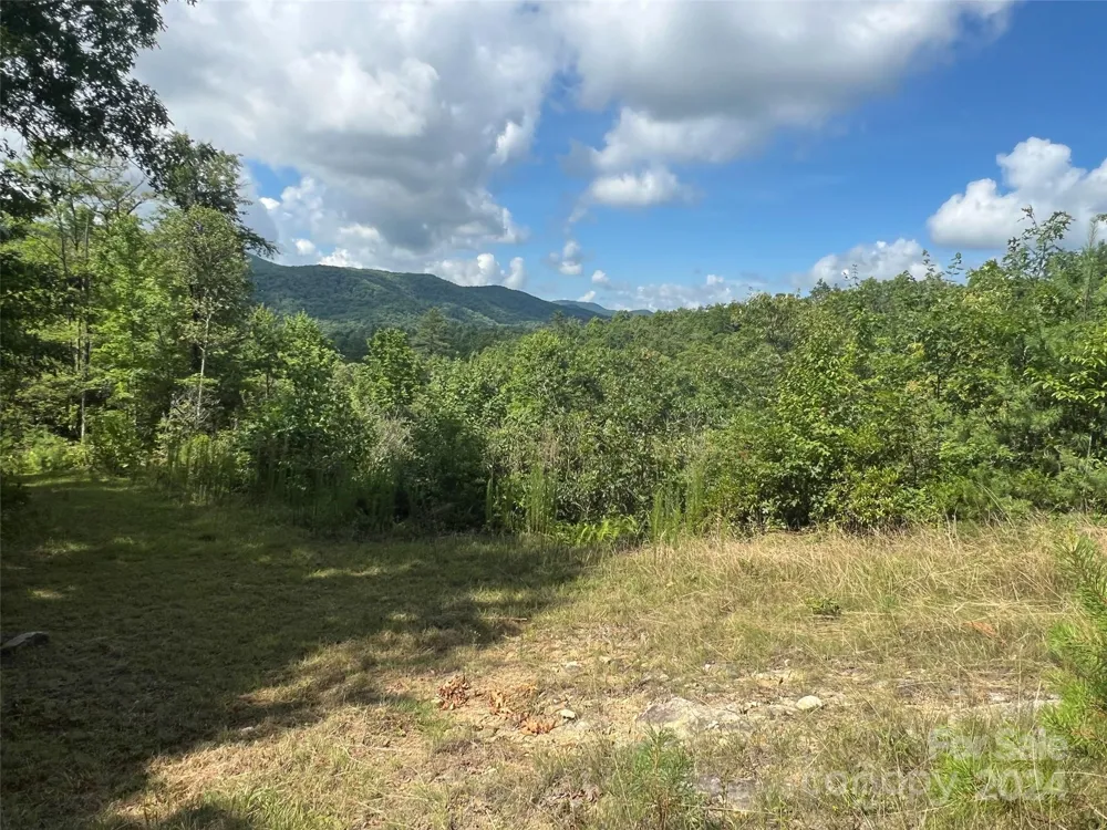 667 Laurel Thicket Lane Brevard, NC 28712