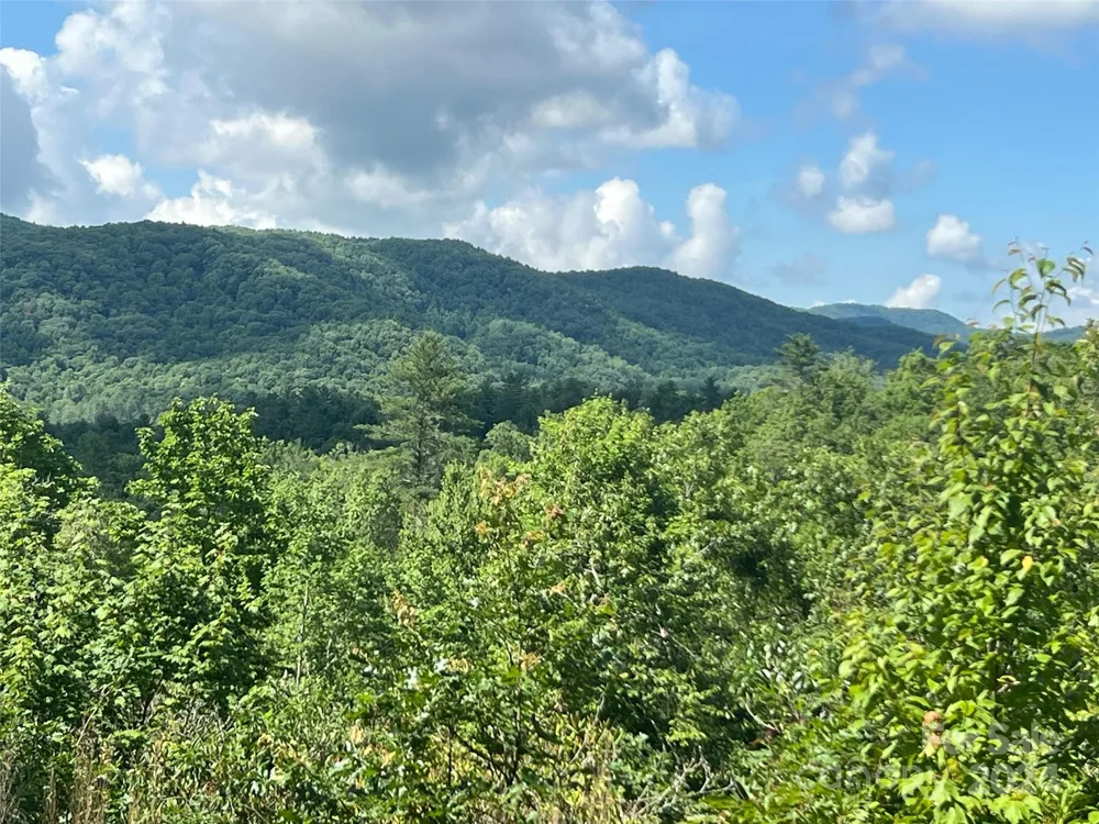 667 Laurel Thicket Lane Brevard, NC 28712