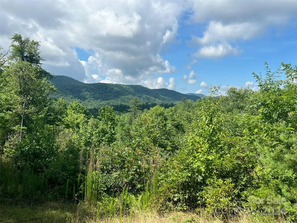 667 Laurel Thicket Lane Brevard, NC 28712