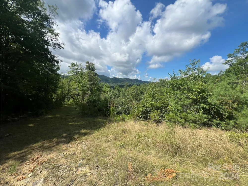 667 Laurel Thicket Lane Brevard, NC 28712