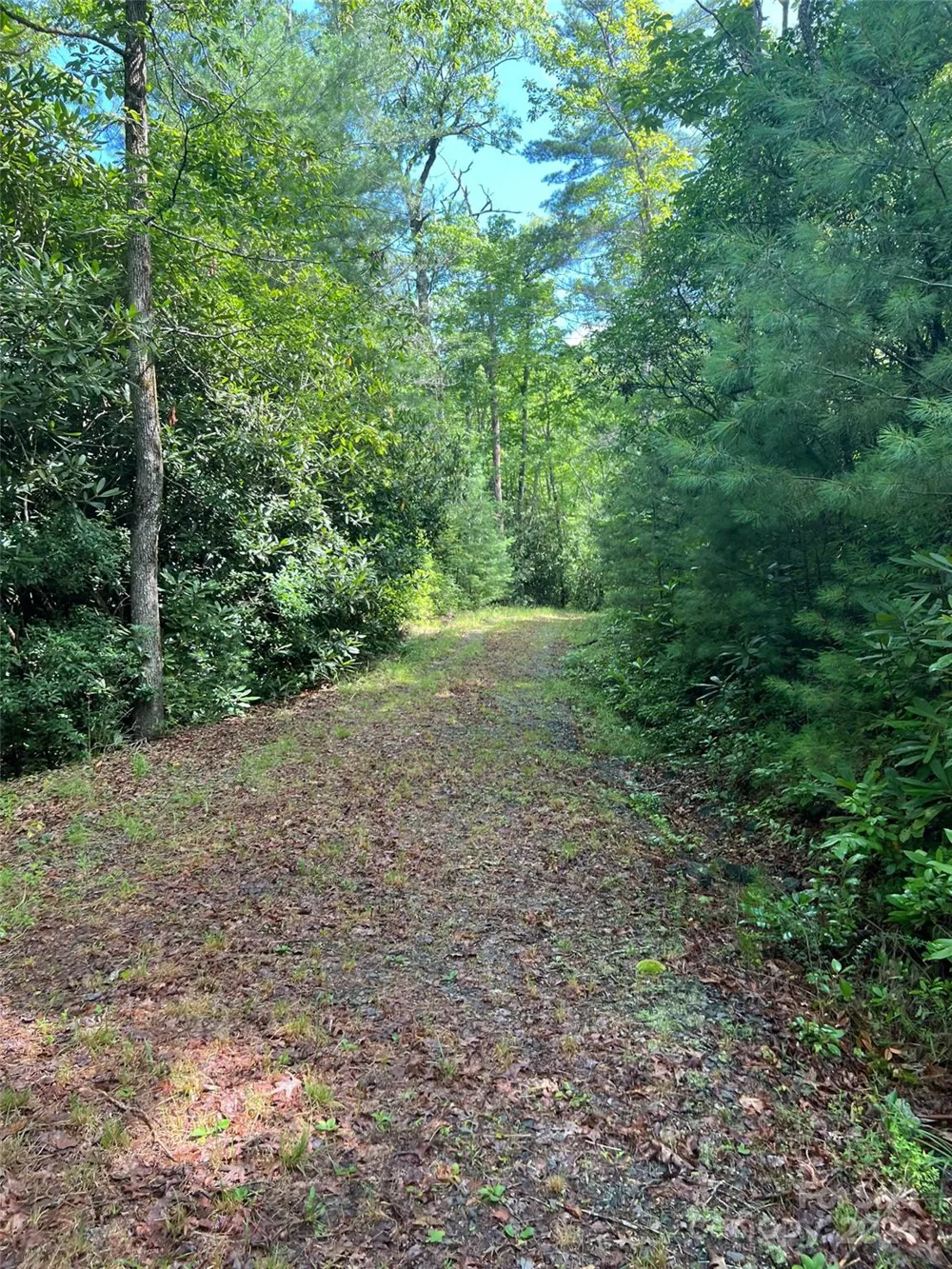 667 Laurel Thicket Lane Brevard, NC 28712