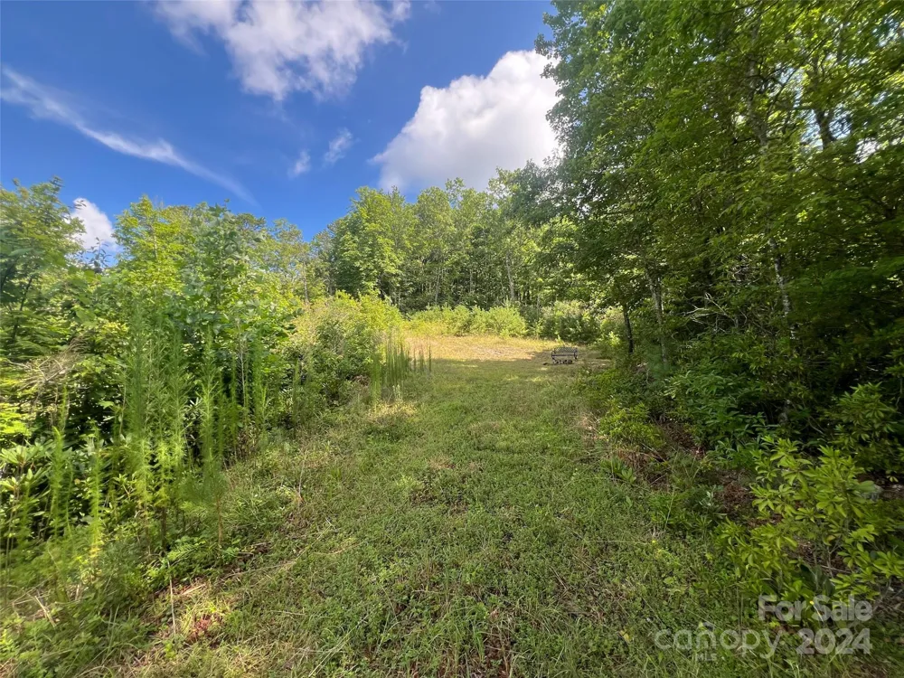 667 Laurel Thicket Lane Brevard, NC 28712