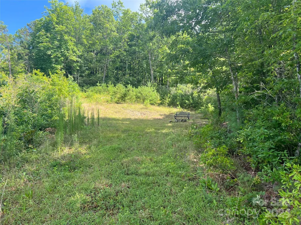 667 Laurel Thicket Lane Brevard, NC 28712