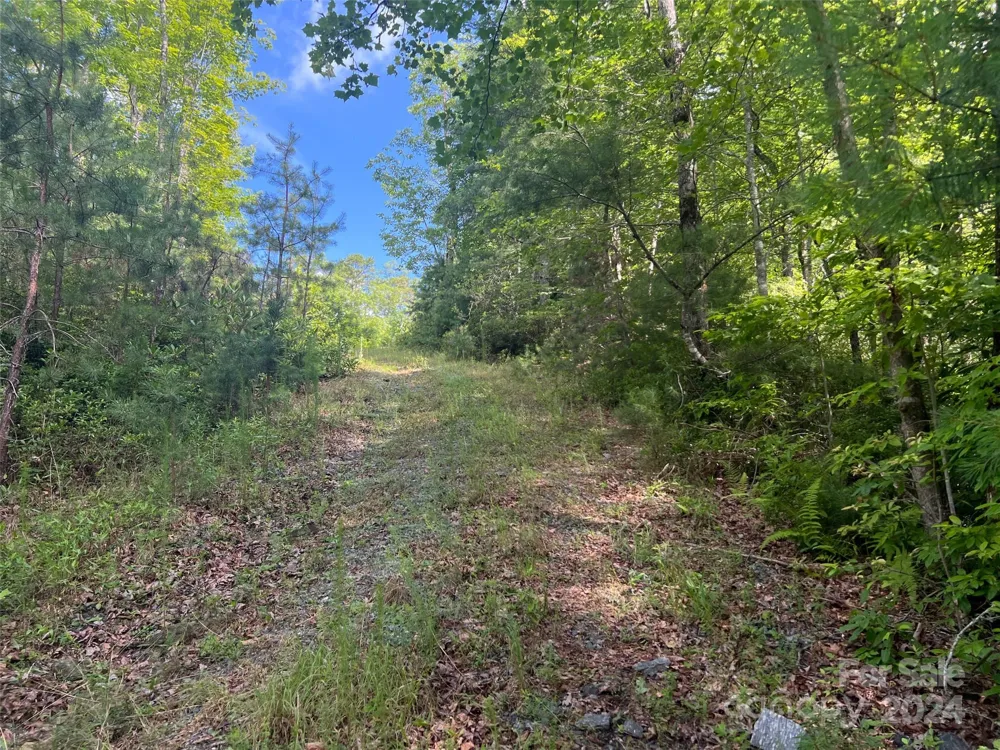 667 Laurel Thicket Lane Brevard, NC 28712