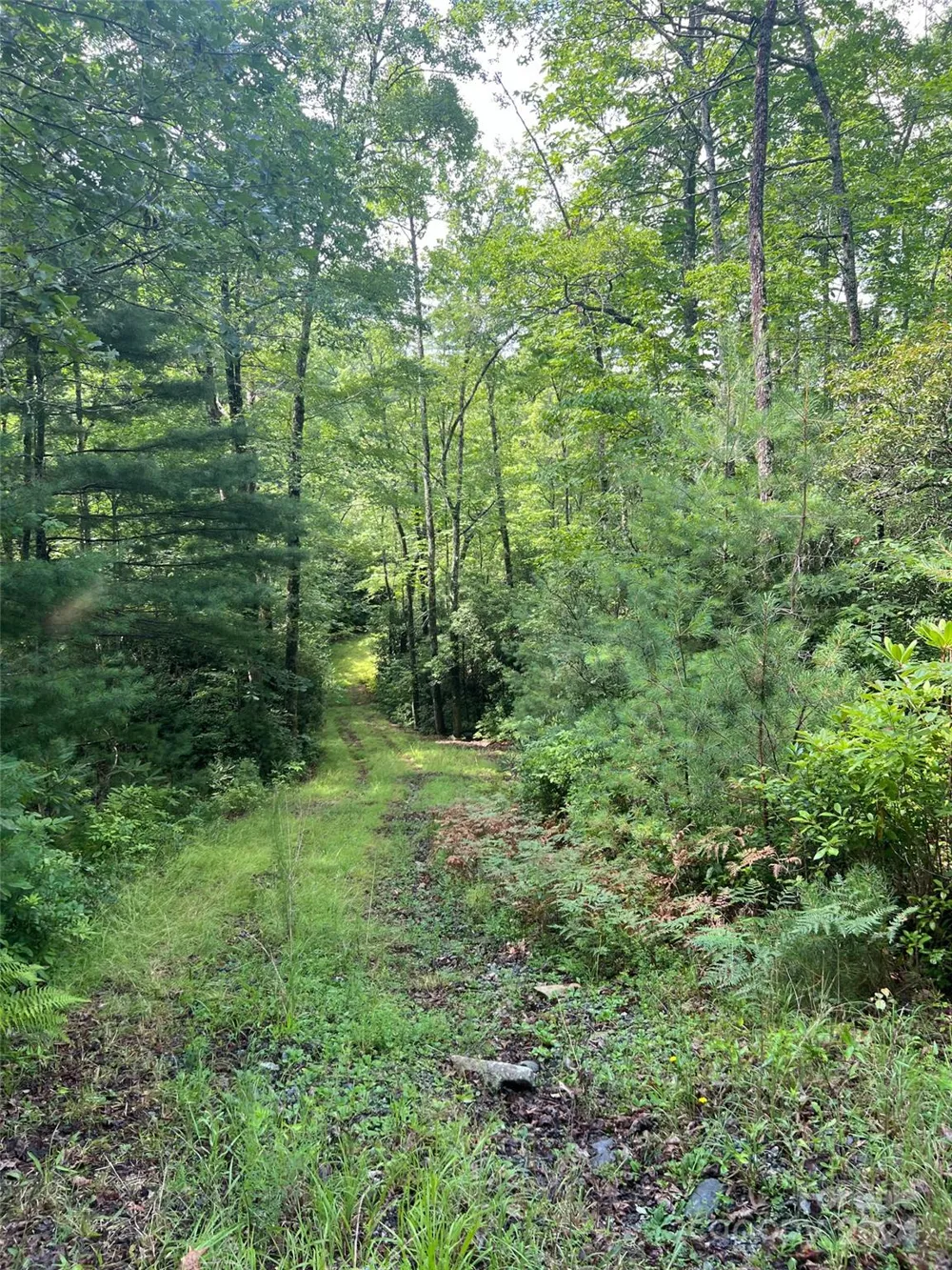 667 Laurel Thicket Lane Brevard, NC 28712