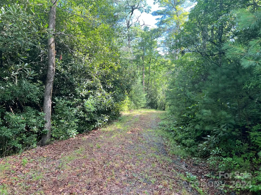 667 Laurel Thicket Lane Brevard, NC 28712