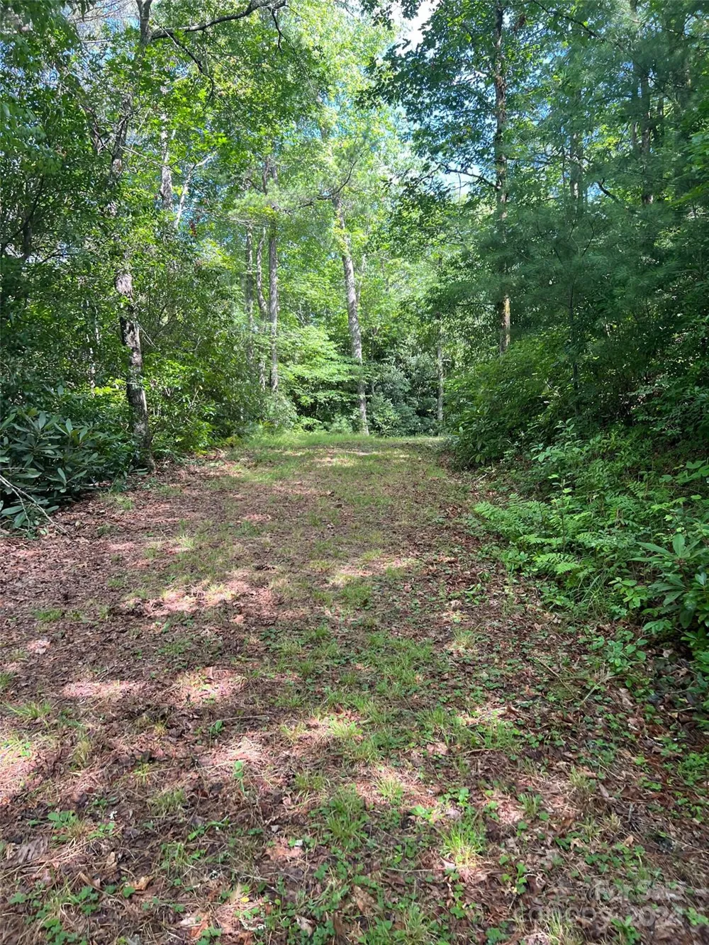 667 Laurel Thicket Lane Brevard, NC 28712